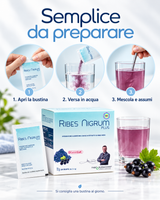 Ribes Nigrum Plus - Benessere Vascolare e Microcircolo Attivo