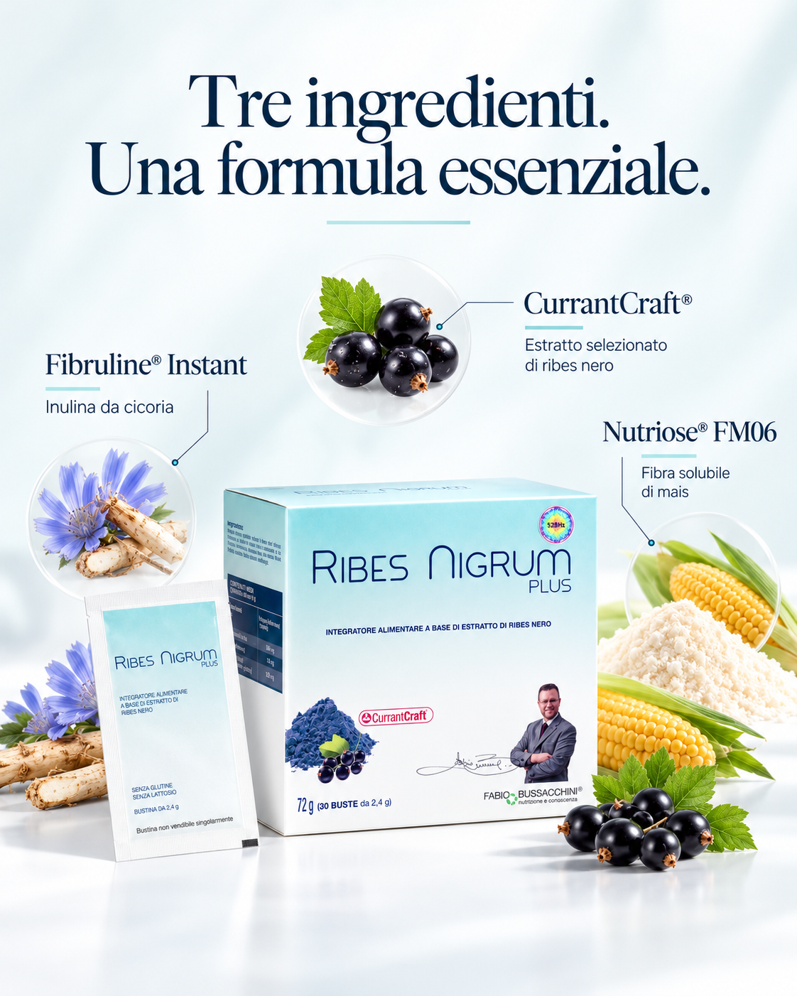 Ribes Nigrum Plus - Benessere Vascolare e Microcircolo Attivo