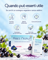 Ribes Nigrum Plus - Benessere Vascolare e Microcircolo Attivo