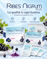 Ribes Nigrum Plus - Benessere Vascolare e Microcircolo Attivo