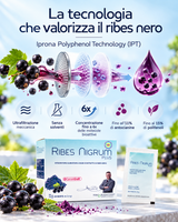 Ribes Nigrum Plus - Benessere Vascolare e Microcircolo Attivo
