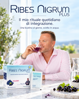 Ribes Nigrum Plus - Benessere Vascolare e Microcircolo Attivo